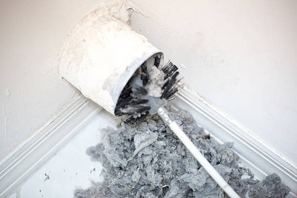 Best Dryer Vent Cleaning Services  in Lakeland, FL